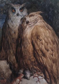 Paul Gustave Dore : Two Owls
